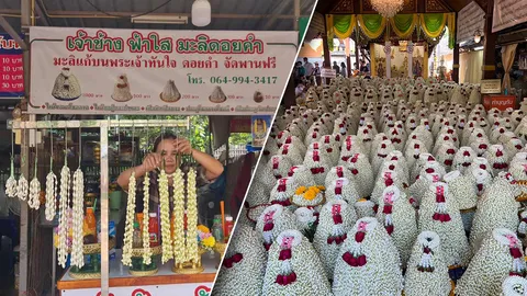 ฮือฮา จ่าย 3 ล้าน กว้านซื้อมาลัยมะลิ 4.29 แสนพวง แก้บนหลวงพ่อทันใจ 