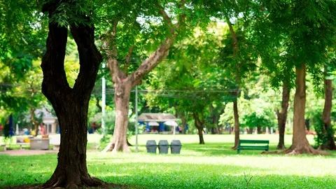 เพราะ “พลังสื่อ” ในอดีต จึงมี “สวนนวมินทร์ฯ” วันนี้