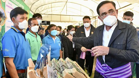 งานนี้มีเสียว