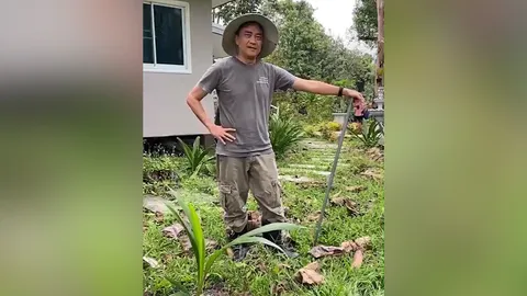 "กิตติ สิงหาปัด และ คเณศ วังส์ไพจิตร" ผู้หลงรักการปลูกต้นไม้จนมีสวนบ้านไร่