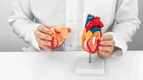 TAVI เปลี่ยนลิ้นหัวใจ นวัตกรรมไม่ต้องผ่าตัด