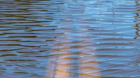 ชาวชุมชนวัดหัวกระบือ บางขุนเทียน ร้องทุกข์น้ำท่วมทั้งปีเดือดร้อนและลำบากมาก