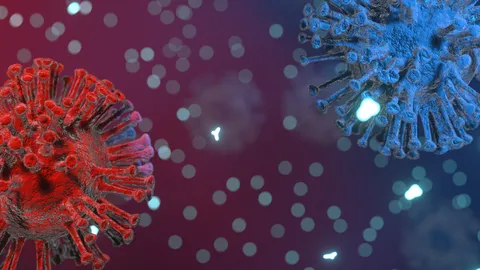 “โควิด BA.2.75” สัดส่วนเพิ่มขึ้น ล่าสุดกลายเป็นสายพันธุ์หลักในประเทศแล้ว