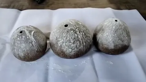 ชาวบ้านแห่ขอโชค "กะลาสามตา" ของหายาก แถมได้ "เลขเด็ดงวดนี้" ลุ้น 16/12/65 (คลิป)