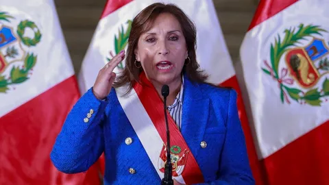 ปธน.ใหม่เปรู ชงจัดเลือกตั้งก่อนกำหนด หลังประท้วงเดือดดับ 2 ศพ