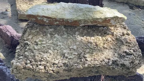 แม่ค้าโกรธ หนุ่มหยาม "สุสานหอย" ด้านอุทยานฯ ชี้เป็นแหล่งท่องเที่ยวระดับโลก