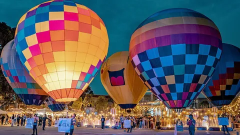 CDC Balloon Fun Festival เทศกาลบอลลูนยักษ์กลางเมือง