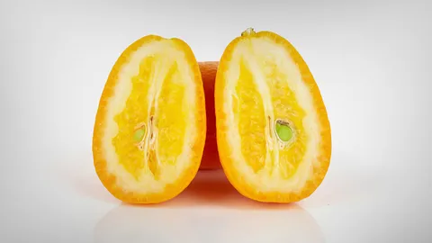 ฝันเห็นอวัยวะเพศหญิง ทำนายฝันหมายถึงดีหรือร้าย ตีความเลขเด็ด