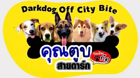 “คุณตูบสายดาร์ก” เดินหน้าสร้างต่อ ขนทัพนักแสดงสายฮาร่วมผจญภัย