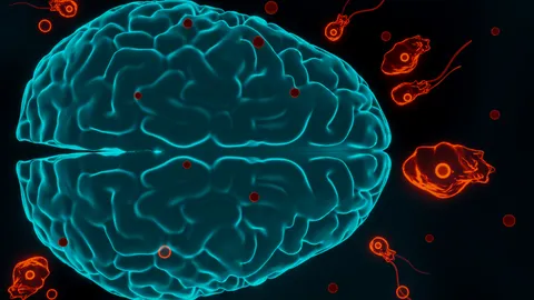 หมอแล็บฯ แนะวิธีป้องกัน "อะมีบากินสมอง" หลังชายเกาหลีใต้กลับจากไทยติดเชื้อดับ