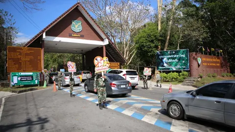 ทางลัดไปโคราชจากฝั่งปราจีนบุรี ผ่านเขาใหญ่ยังคล่องตัว ปริมาณรถยังไม่มาก 