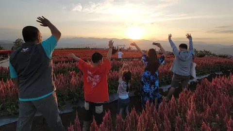 นักท่องเที่ยวแห่ชมสวนดอกไม้ ริมชายแดนพบพระ ดูแสงสุดท้ายจุดตะวันตกสุดของไทย