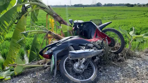 วัยรุ่นซิ่งเวฟชนกอกล้วย กระเด็นตกท้องนา ดับคาที่