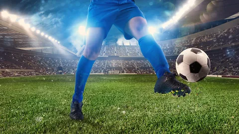 บททดสอบช้างศึก