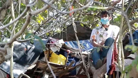 วิถีทาร์ซาน 