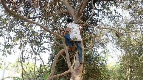 ใช้ชีวิตทาร์ซาน หนุ่มตกอับ หนีไปอยู่ในป่า ขัดห้างบนต้นไม้ พิษโควิดเล่นงาน