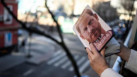 บันทึกความทรงจำของเจ้าชายแฮร์รี