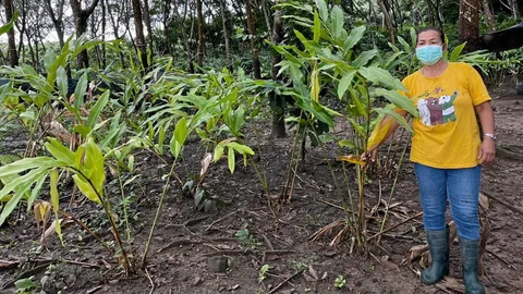 โครงการพัชรสุธาคชานุรักษ์