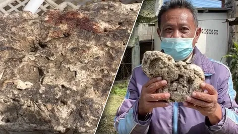 หนุ่มใหญ่ประกาศขายอ้วกวาฬ "อำพันทะเล" ขีดละแสน บอกมีเพื่อนฝากขายด้วย