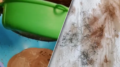 เยอะเกินไปมั้ย สาวสงสัยดูดน้ำโกโก้ไม่ขึ้น เทดูแทบช็อก ได้ "ฝอยขัดหม้อ" แถมเป็นกำ