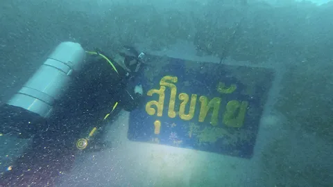 ปล่อยให้งง