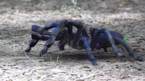 "ไต้ฝุ่น-เทียน-พลอย" เผชิญหน้าฝูงบึ้งยักษ์ จ้องกลืนกิน ในละคร ตะนาวศรี EP.8