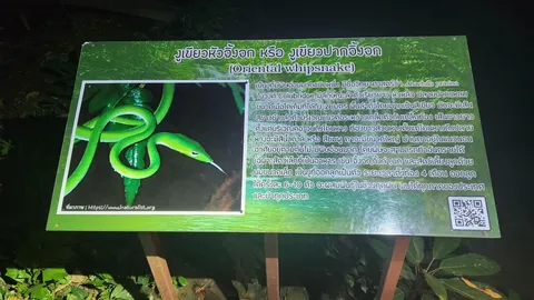 แก้ไขแล้ว ภาพประกอบป้าย "งูเขียวหัวจิ้งจก" น้ำตกเอราวัณ พร้อมขอบคุณทุกคนที่ทักท้วง