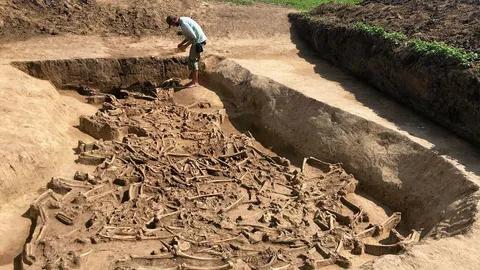 สุสานหมู่อายุ 7,000 ปี ของโครงกระดูกไร้หัว