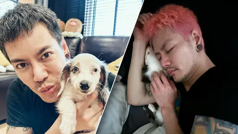 อ๊อฟ ปองศักดิ์ ซื้อน้องหมาเจอหูหนวกแต่ไม่ขอคืน ชาวเน็ตวิจารณ์ฟาร์มผิดเต็มๆ