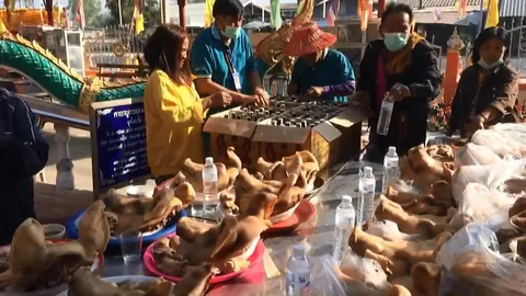 สาวขนหัวหมู 100 หัว แก้บน "หลวงพ่อเคลือบ" ให้โชคกว่า 2 ล้านบาท (คลิป)