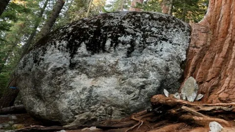 สุดระทึก หินยักษ์กลิ้งชนฝาบ้านในฮาวายพังยับ (คลิป)