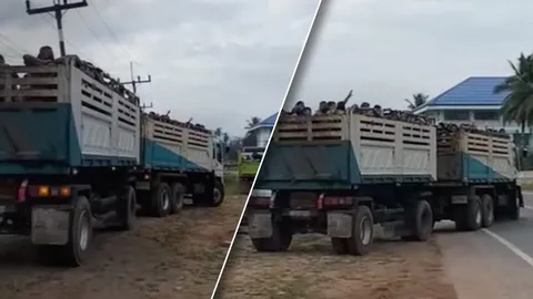 ดราม่าขน นร.ขึ้นรถพ่วงเข้าค่าย ผู้ปกครองมองปกติ ชี้ครูดูแลความปลอดภัยดี (คลิป)