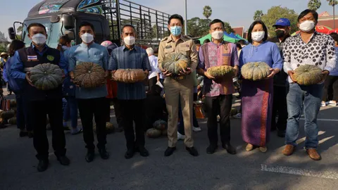 ผู้ว่าฯ โคราชเปิดพื้นที่ขายสินค้าเกษตร ฟักทองลูกเท่ากะละมัง กก.ละ 5 บาท
