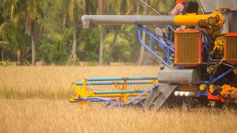 ดึงเทคโนโลยีลดต้นทุนทำนา