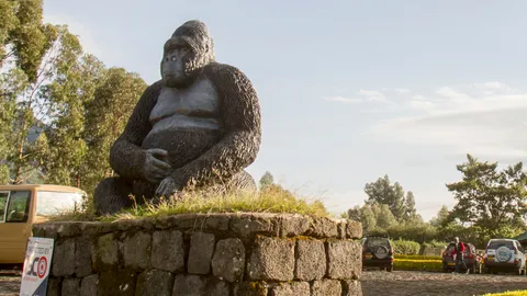 ตามหาเมอร์ฟีที่หายไป