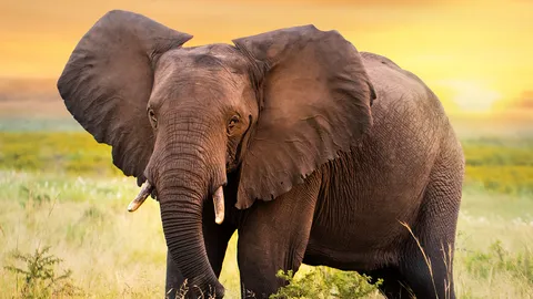 เหตุบังเอิญ?