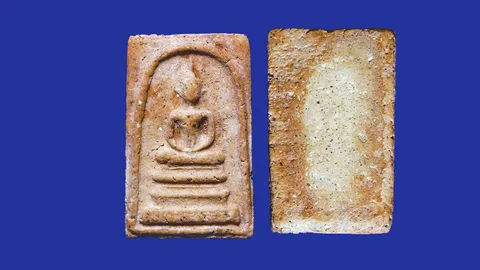 รอยเลี่ยมหลัง