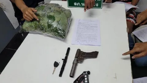 จับแก๊งฟันน้ำนม 5 เยาวชน ควงปืน 2 กระบอกปล้นใบกระท่อมเอาไปต้มกิน