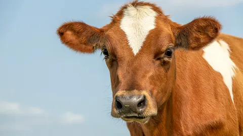 เละไปทั้งคัน