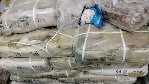 “ลุยต่อ” ปศุสัตว์บุกตรวจค้นห้องเย็นเมืองปากน้ำโพ พบซุกเนื้อควายลักลอบนำเข้ากว่า 16 ตัน