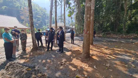 ป.ป.ท.-ป.ป.ช.ตรวจสอบ เทยางมะตอยทับต้นไม้ ปมเพจดังแฉใช้งบนับล้านดำเนินการ