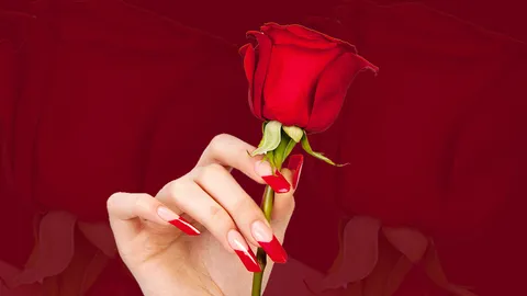 วาเลนไทน์ 2566 กุหลาบจีนมาแรงแซงกุหลาบไทย