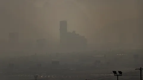 PM 2.5 กระทบผื่นภูมิแพ้ผิวหนัง รับมืออย่างไร