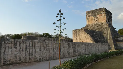 พบที่อยู่อาศัยของชนชั้นสูงในชิเชน อิตซา