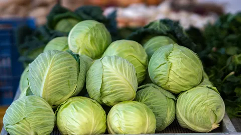 ยังไม่พบพิรุธผักจากจีน นำเข้าปริมาณสูงผิดปกติ