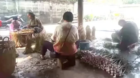 ชาวไทลื้อที่ลำปาง รับจ้างแต่งกระเทียม กก.ละ 5 บาท เป็นงานสร้างรายได้เสริม