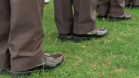 ทางเลือกใครทางเลือกมัน