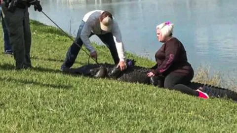 สุดเศร้า เผยคุณยายในสหรัฐฯ โดนจระเข้ยักษ์กัดจนตาย เพราะพยายามช่วยสุนัข