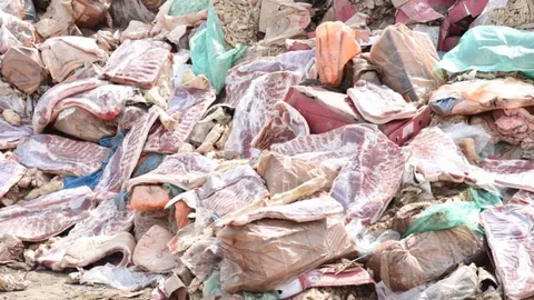 กลุ่มผู้เลี้ยงสุกรวอนรัฐปราบหมูเถื่อนจริงจัง ชี้กดราคาหมูหน้าฟาร์มจนขาดทุน