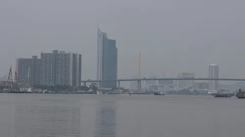 ผลวิจัยมหันตภัยฝุ่นพิษต่อครัวเรือนไทย